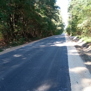 Zdjęcie 3 Luboszewy